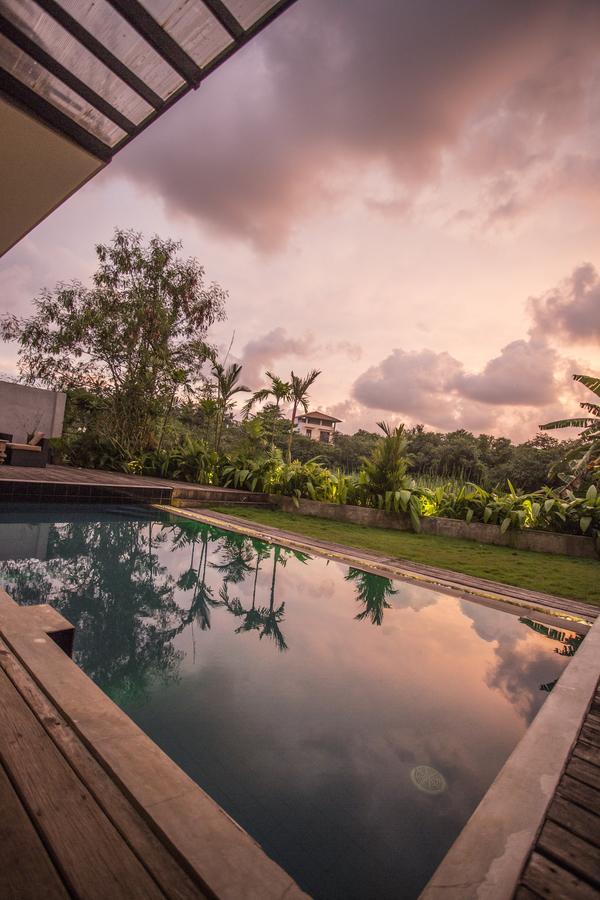 The Mangrove Hotel コロンボ エクステリア 写真